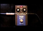 EBS OctaBass in 100 Seconds