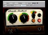 Acoustic Feedback demo
