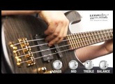 The Warwick Streamer Jazzman 4-string