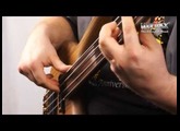 The Warwick Dolphin Pro I 4 string fretless