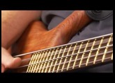 The Warwick Thumb Bolt-On 5-string