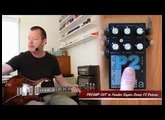 AMT Electronics : P2 Legend amps Preamp & FX Pedal