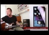 AMT Electronics : K2 Preamp and Effects Pedal