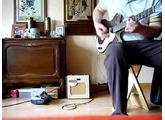 Danelectro Fender Champ 600