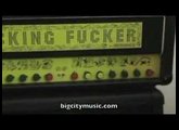 Metasonix F@*#ing F#%@er Dual 15-watt tube amp!  IT'S COOL!