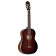 R55DLX-BFT Family Pro Series Full-size Guitar Bourbon Fade guitare classique avec repose-bras
