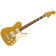 Paranormal Troublemaker Telecaster Deluxe LTD LRL MH Aztec Gold