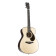 FS 9M - Guitare Acoustique