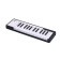 MicroLab Black clavier USB/MIDI 25 touches