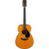 Red Label Series FSX3 guitare folk électro-acoustique avec housse