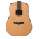 AW65 NATURAL LOW GLOSS - Guitare acoustique folk