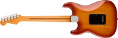 Stratocaster Player Plus Sienna Sunburst Pau Ferro