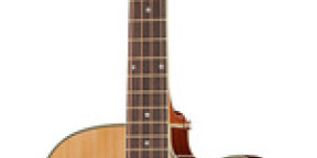 Vente Harley Benton B-30 NT Acoustic Bass