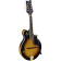RMFE90TS F-Style Series Mandolin Tobacco Sunburst mandoline électro-acoustique de style F avec housse