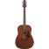 AAD140-OPN Advanced Acoustic Open Pore Natural - Guitare Acoustique