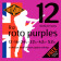 R12 Roto Purples Nickel Medium Heavy 12/52