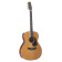 CP7MOTT - Guitare Acoustique