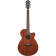 AEG220 Natural Low Gloss guitare électro-acoustique folk