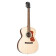 OM-250E Limited Archback Natural - Guitare Acoustique