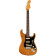 American Professional II Stratocaster Roasted Pine RW guitare électrique avec étui