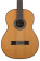 C9 Crossover, Nylon String Acoustic Guitar - Cedar Top