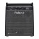 Amplificateur pour batterie - PM-200 - Roland