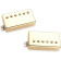 Saturday Night Special Humbucker Set Gold Cover micro guitare (la paire)