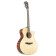 Ibanez AE325 LGS - Guitare Acoustique