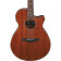 Ibanez AEG220 Natural Low Gloss guitare lectro-acoustique folk