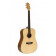 GUITARE ACOUSTIQUE DREADNOUGHT