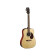 Guitare acoustique Cort Earth 70 NAT