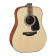 Takamine GD10NS Guitare acoustique