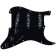 STK-S10PGD Yngwie Loaded Pickguard Black