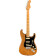 American Professional II Strat MN (Roasted Pine) - Guitare Électrique