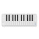Xkey Air 25 Bluetooth MIDI Keyboard - Clavier Maître