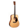 D-18 Modern  Deluxe - Guitare Acoustique