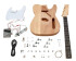 Electric Guitar Kit T-Style
