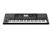 PA300 - Clavier arrangeur 61 touches