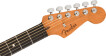 American Acoustasonic Stratocaster Natural