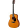 Red Label Series FG3 guitare folk acoustique avec housse