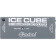 ICECUBE IC-1