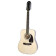 DR-100 Songmaker E1 12 Natural