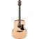 Advanced Acoustic AAD50 Low Gloss guitare folk