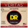 Veritas Acoustic VTA-11