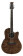 Guitares folk - Ovation CS24P-NBM Celebrity Std. Plus Nutmeg Burled Maple