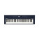 Clavier de cration musicale GO:KEYS 3 | Clavier  61 touches | Gnrateur ZEN-Core avec plus de 1000 sons intgrs | Haut-parleurs stro | Audio/MIDI par Bluetooth  Bleu Minuit