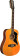 EKO Guitars 06217119 Ranger VR XII Natural Top Stained, Guitare Acoustique, 12 Cordes