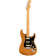 STRATOCASTER HSS AMERICAN PROFESSIONAL II MN ROASTED PINE