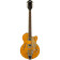 G5655T-QM Electromatic Center Block Jr. Single-Cut Quilted Maple Bigsby Speyside guitare semi-hollow body