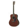 LL 6 ARE Rosewood DT Dark Tinted - Guitare Acoustique